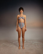 Rose Pampa Bottom encantadore