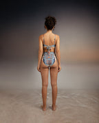 Rose Pampa Bottom encantadore