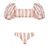 Top de Bikini Chloe Espinal