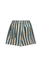 Liana Green Stripes Linen Shorts